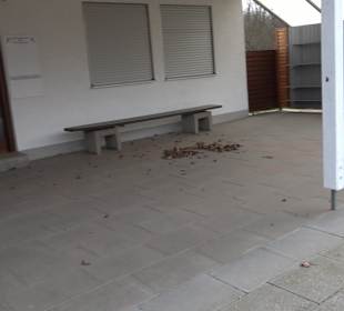 Tennisplatz Neckarhausen