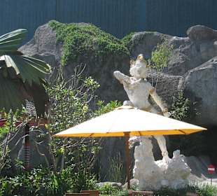 В зоопарке Бали