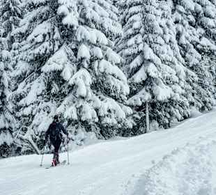 Wandern Rußbach am Paß Gschütt