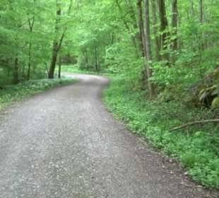 Naturpark Schönbuch