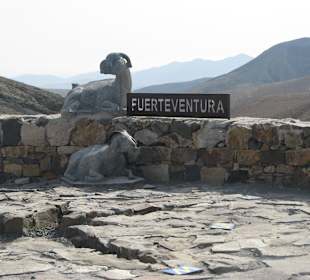 Wahrzeichen von Fuerteventura - Ziegen