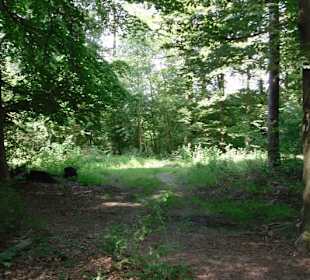 Weg zum Klettersteig