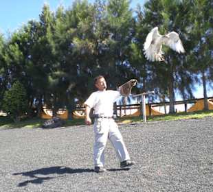 Ausflug  Texsasranch