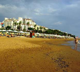 Inspirationen an d.Strandprom.entlang Nov.2010