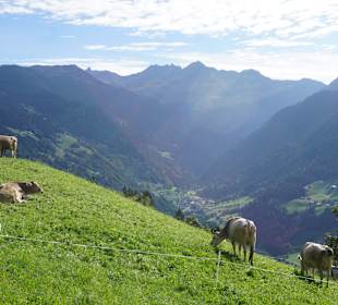 Wandern St. Gallenkirch