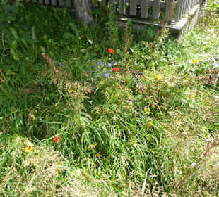 Wandern Gsiesertal