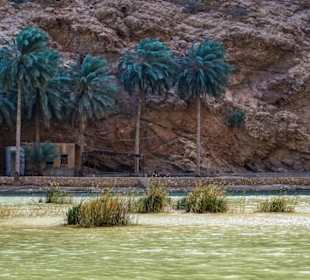 Am Wadi Shab