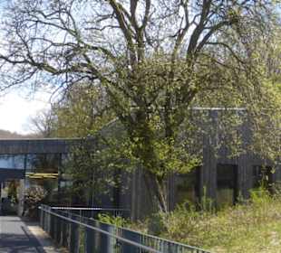 Handthal: das Steigerwald-Zentrum