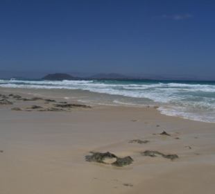 Parco naturale delle dune