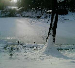 Lichtreflexe im Schnee