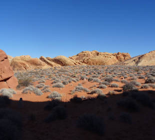 Im Valley of Fire unterwegs