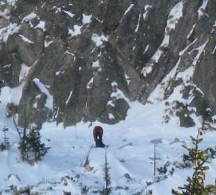 Popradské Pleso