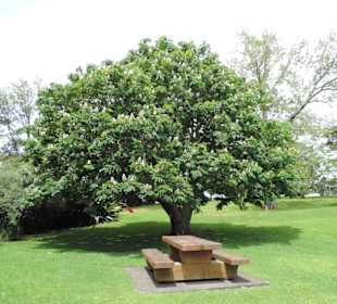 Im Western Springs Park