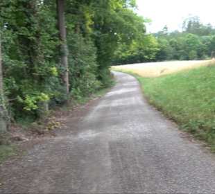 FriedWald Schönbuch