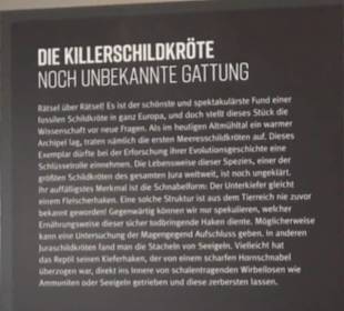 Dinosaurier Museum Altmühltal