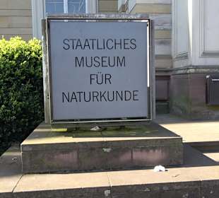 Staatliches Naturkunde Museum