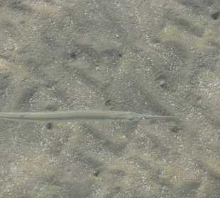 Фото с пирса