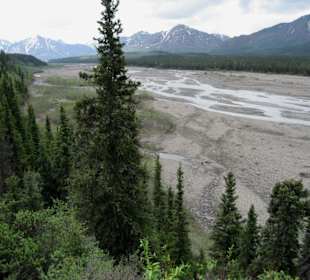 Denali National Park