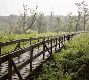 Wandern Geisfeld