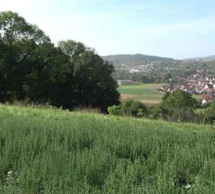 Wanderung zur Burgruine Liebenau