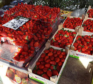 Stadtrundgang Peguera