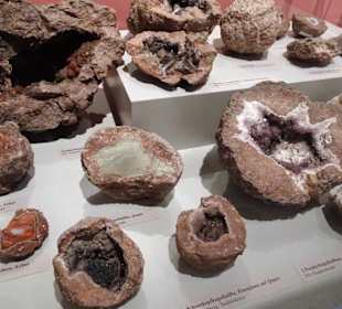 Geologische Abteilung des Stadtmuseums