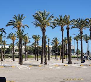 Flughafen Palma de Mallorca/Son Sant Joan (PMI)