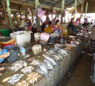 Hier gibt es frischen Fisch