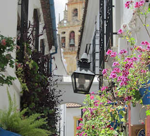 Ausflug nach Cordoba/Altstadt