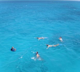 Mit Oototo schnorcheln