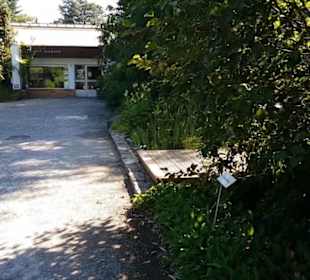 Botanischer Garten 