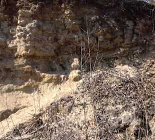 Geologischer Lehrpfad Kirnbachtal