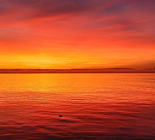 Bodensee