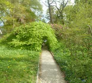 Botanischer Garten München