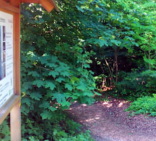 Wanderweg Landstuhl L2 in Landstuhl