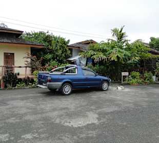 Wildlife Expeditions