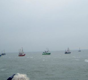 Regattatage 2009