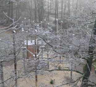 Baumwipfelpfad-unten der Märchenwald