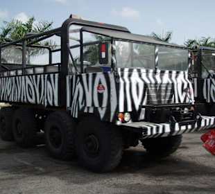 Monster-Truck-Safari ☼