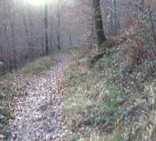 Schönbuch Schaichtal