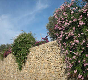 Tramuntana - Gebirgsstraße