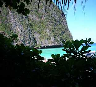 maya bay