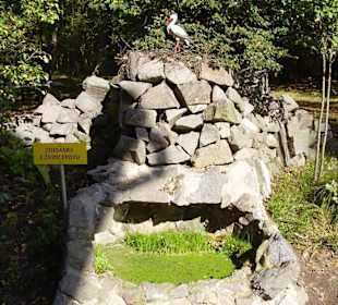 Studánka s živou vodou