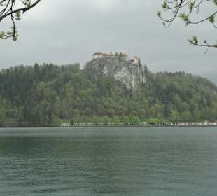 Hrad Bled z daleka