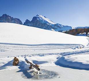 Skigebiet Seiser Alm