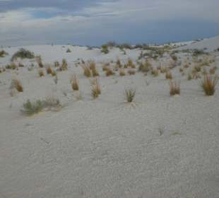 White Sands
