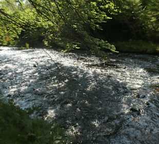 Wunderbare Wanderung am Großen Regen