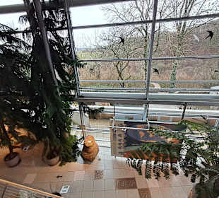 Geoskop in Thallichtenberg