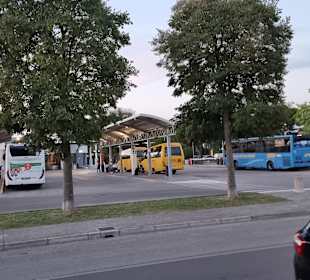 ATVO 