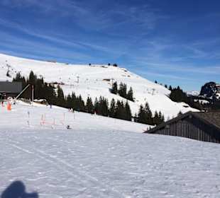 Skigebiet Loferer Almenwelt